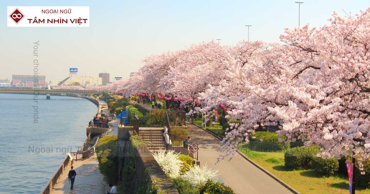 Công viên Sumida